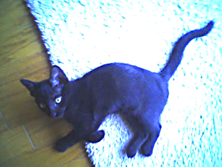 Picture474_25May07.V2.jpg.jpeg